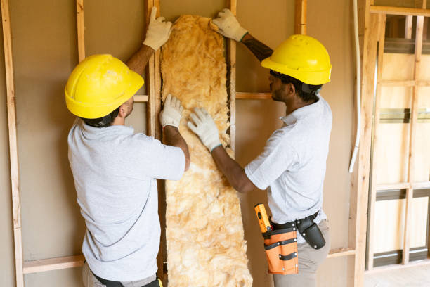 Best Wall Insulation Installation in Greenfield, MO